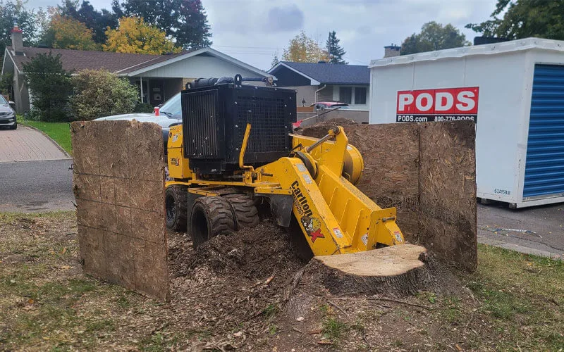 Tree Service Ottawa, Embrun & Russell