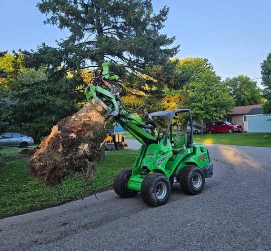 1000010841 Precise pruning for healthy growth