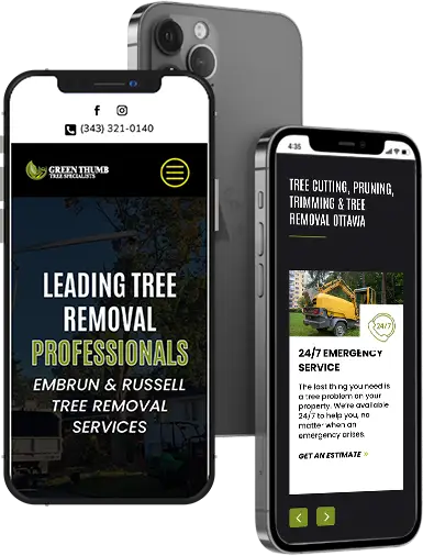 About Green Thumb Tree Specialists About Green Thumb Tree Specialists