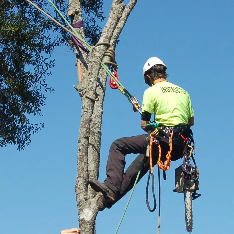 72670820007-arborist-image What Do Ottawa Residents Love 2