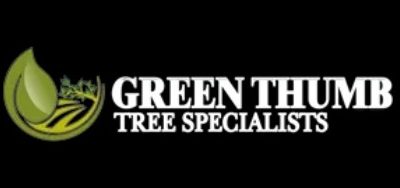 Celebrating Excellence: Ottawa’s Top Tree Removal Services