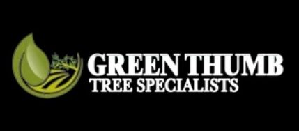 Tree Removal Ottawa