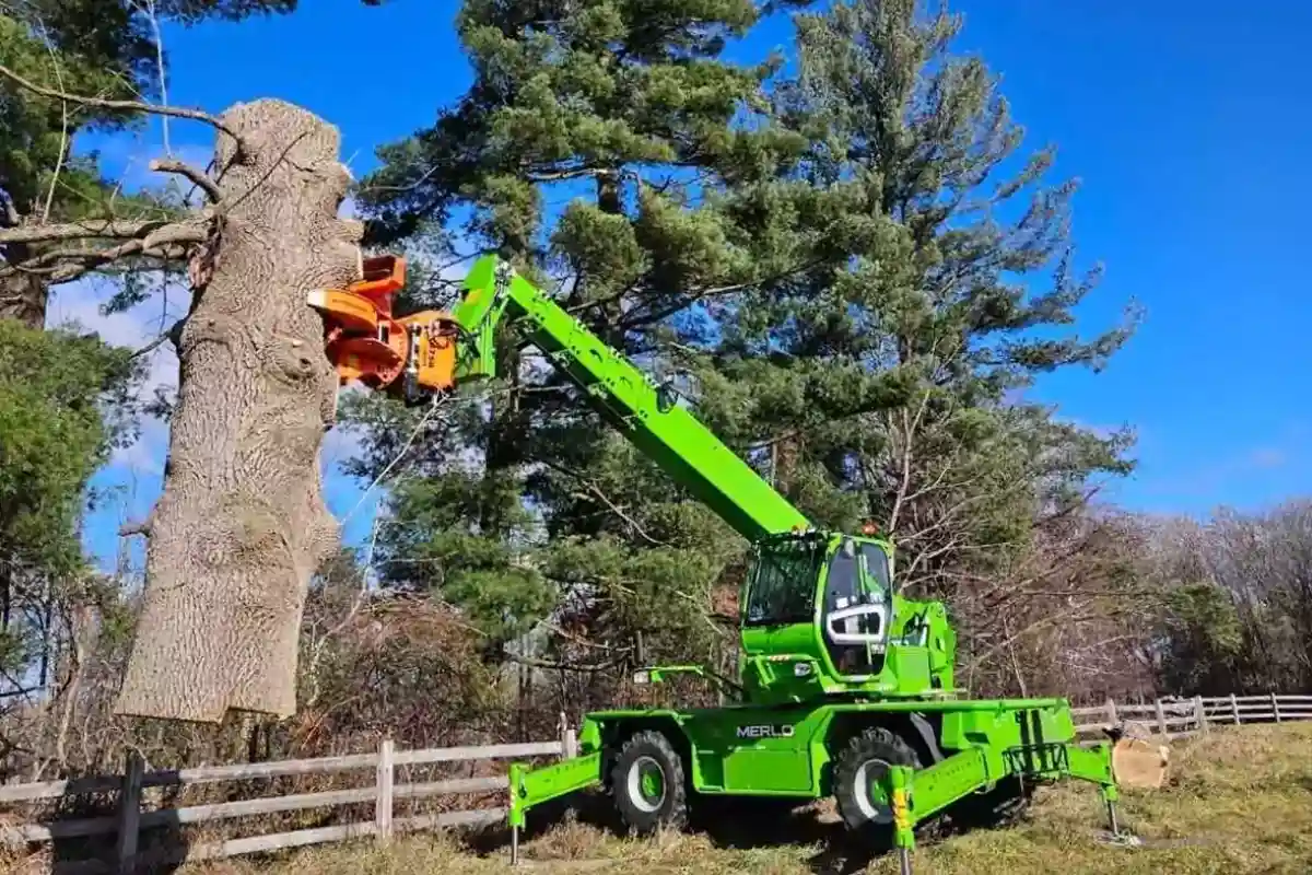 Efficient tree cutting to clear spaces