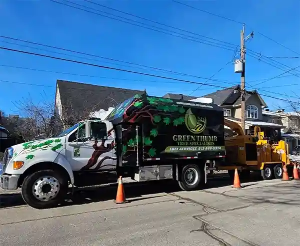 Green Thumb Tree Specialists service truck ready for work