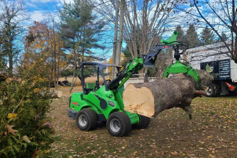 bush and brush removal ottawa