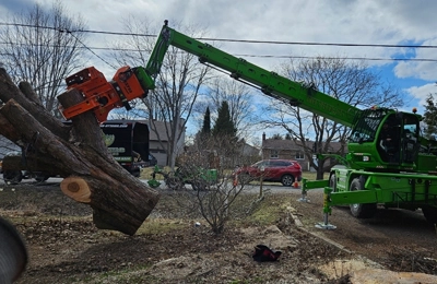 land clearing company ottawa