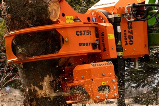 lot clearing services ottawa