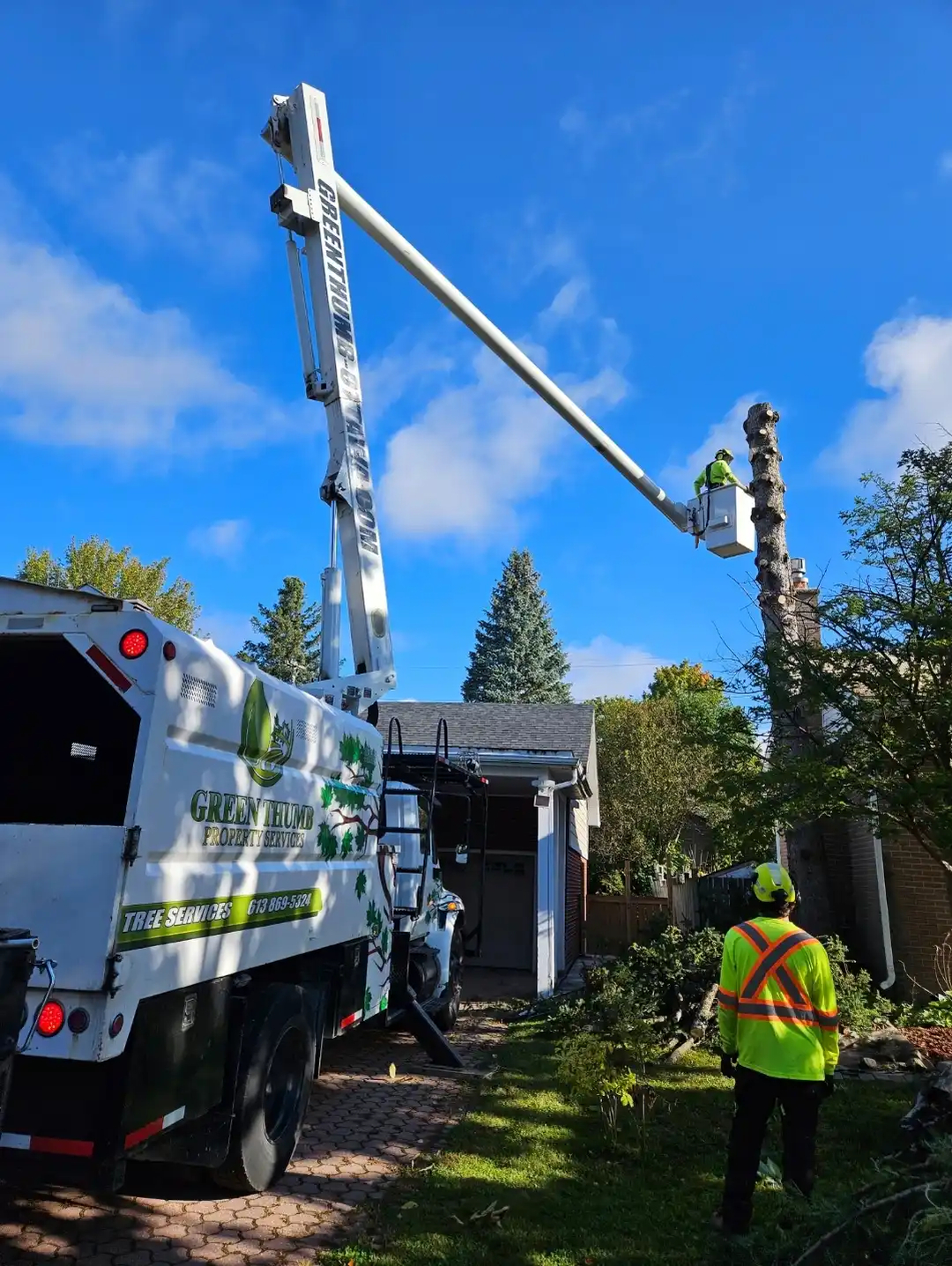 Green Thumb Tree Specialists Earns ISA Certified Arborist Designation Recognized Across North America
