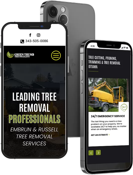 Leading Tree Removal Professionals in Ottawa
